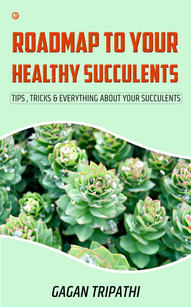 Roadmap to your healthy succulents | A succulent book