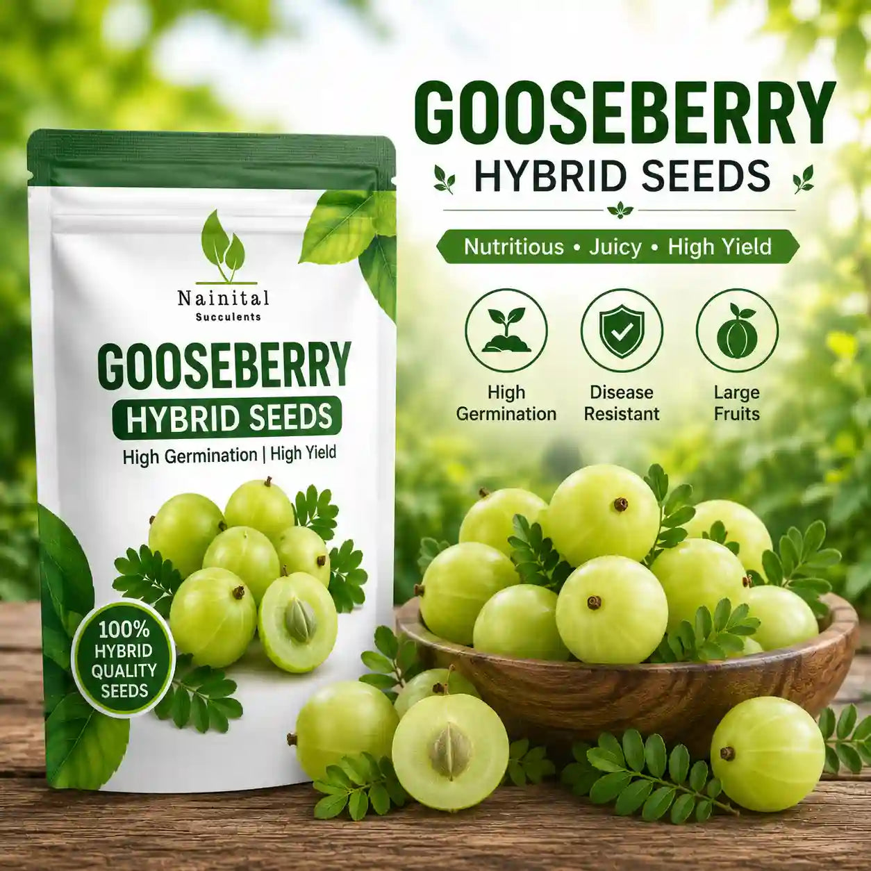 GOOSEBERRY ( RASBHARI ) HYBRID SEEDS (50 seeds)
