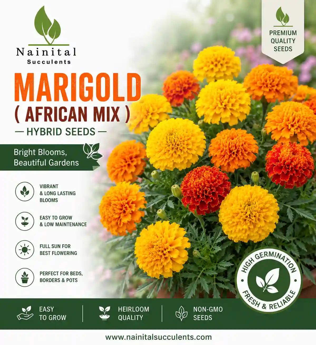 MARIGOLD ( AFRICAN MIX ) HYBRID SEEDS (40 seeds)