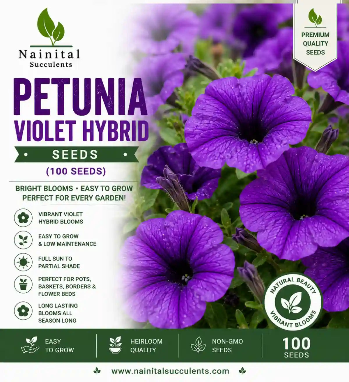 Petunia violet hybrid seeds (100 seeds)