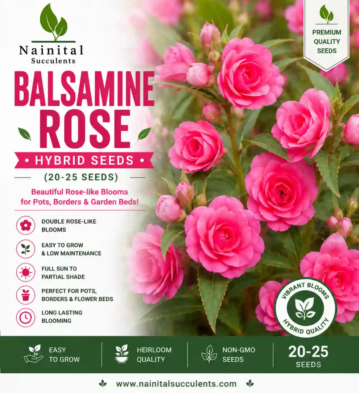 BALSAMINE ROSE HYBRID SEEDS (20-25 seeds)