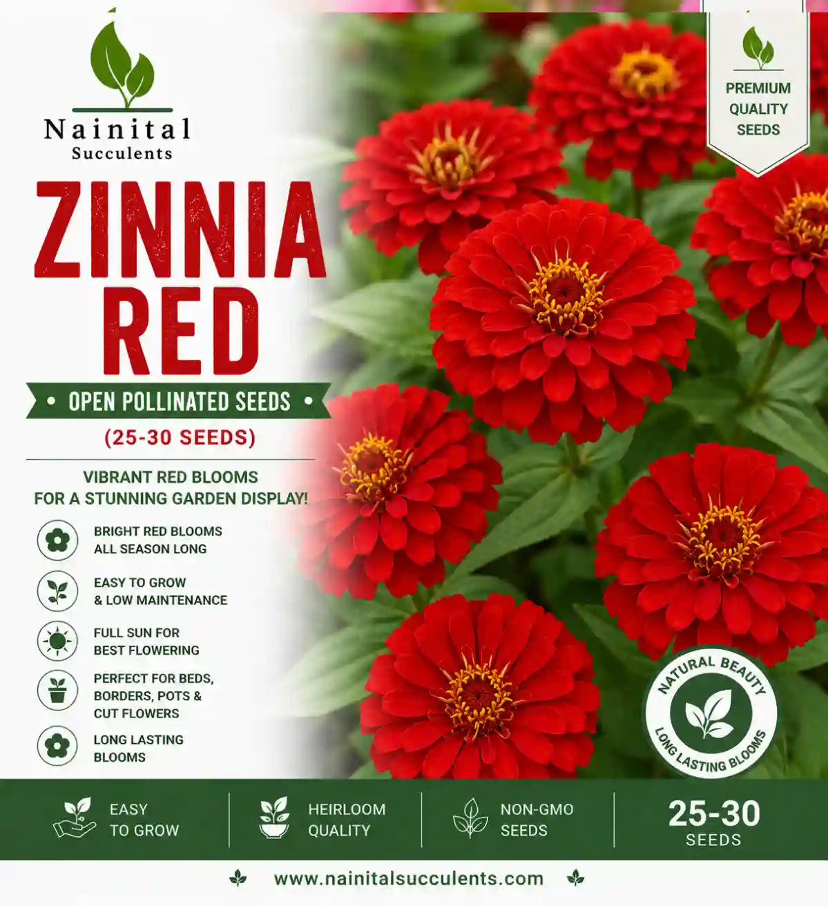 ZINNIA RED OPEN POLLINATED SEEDS (25-30 seeds)