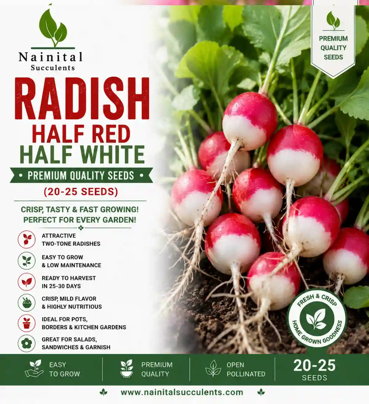 Vegetable Seeds