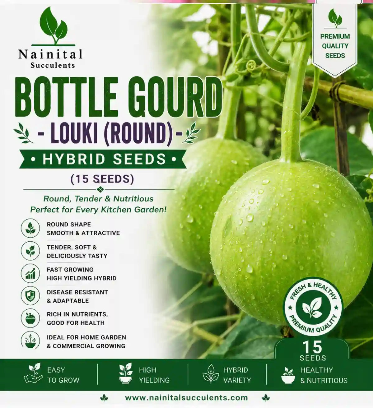 BOTTLE GOURD- LOUKI (ROUND) HYBRID SEEDS (15 seeds)
