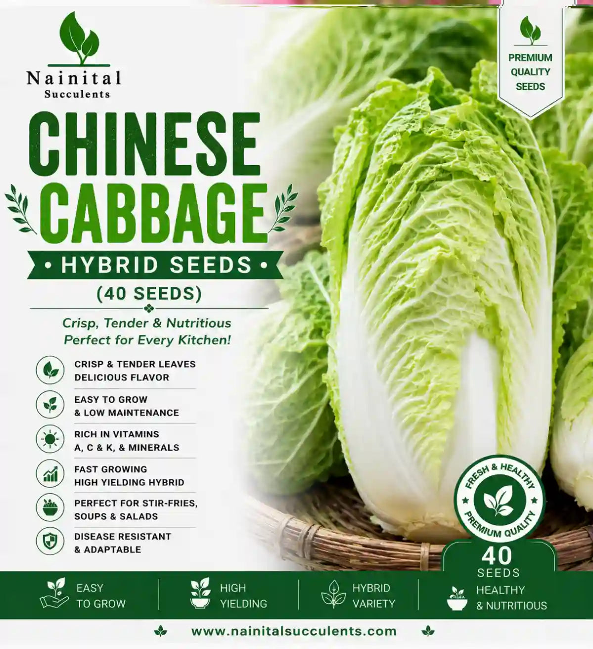 CHINESE CABBAGE HYBRID SEEDS (40 seeds)