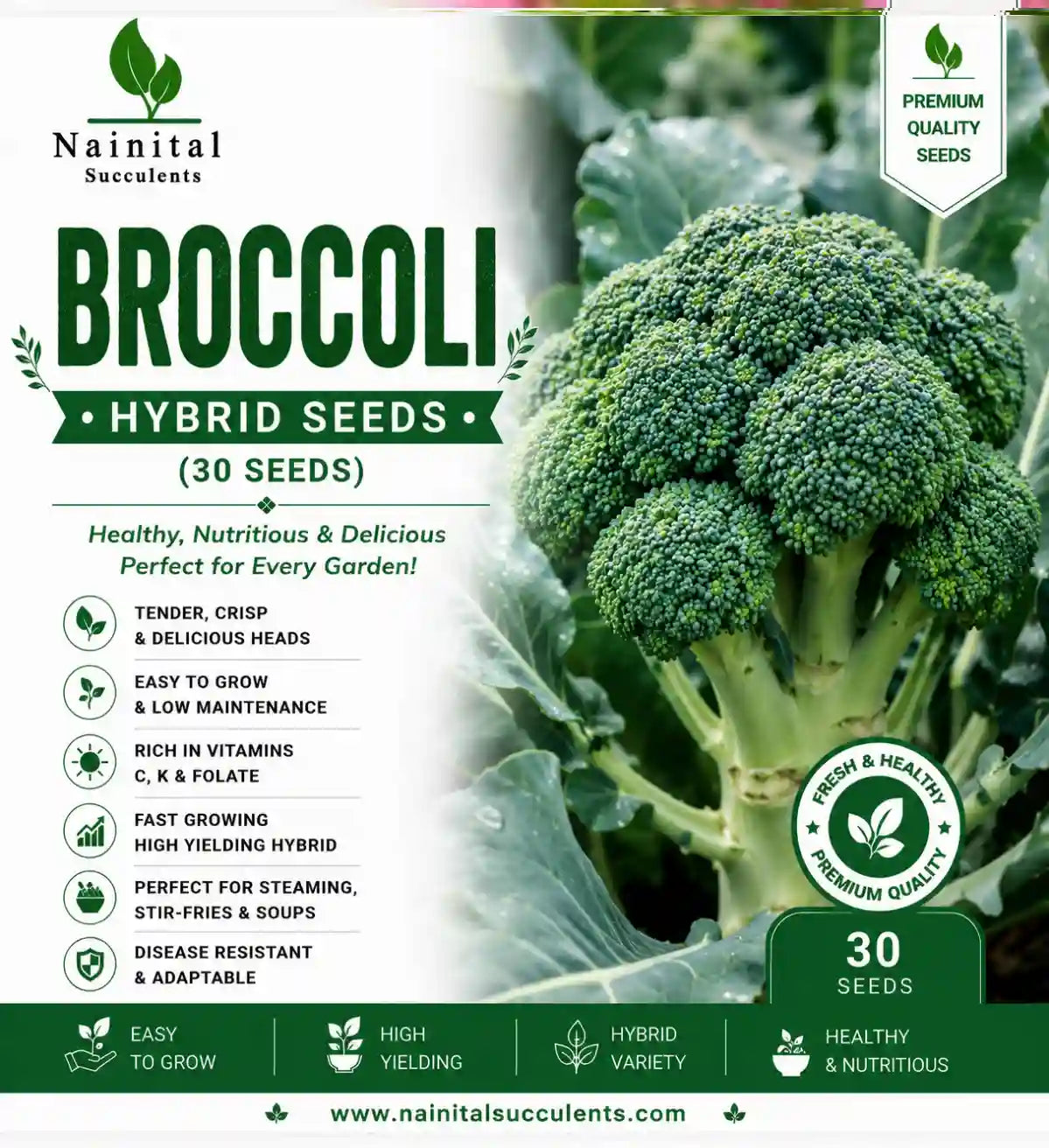 BROCCOLI HYBRID SEEDS (30 seeds)