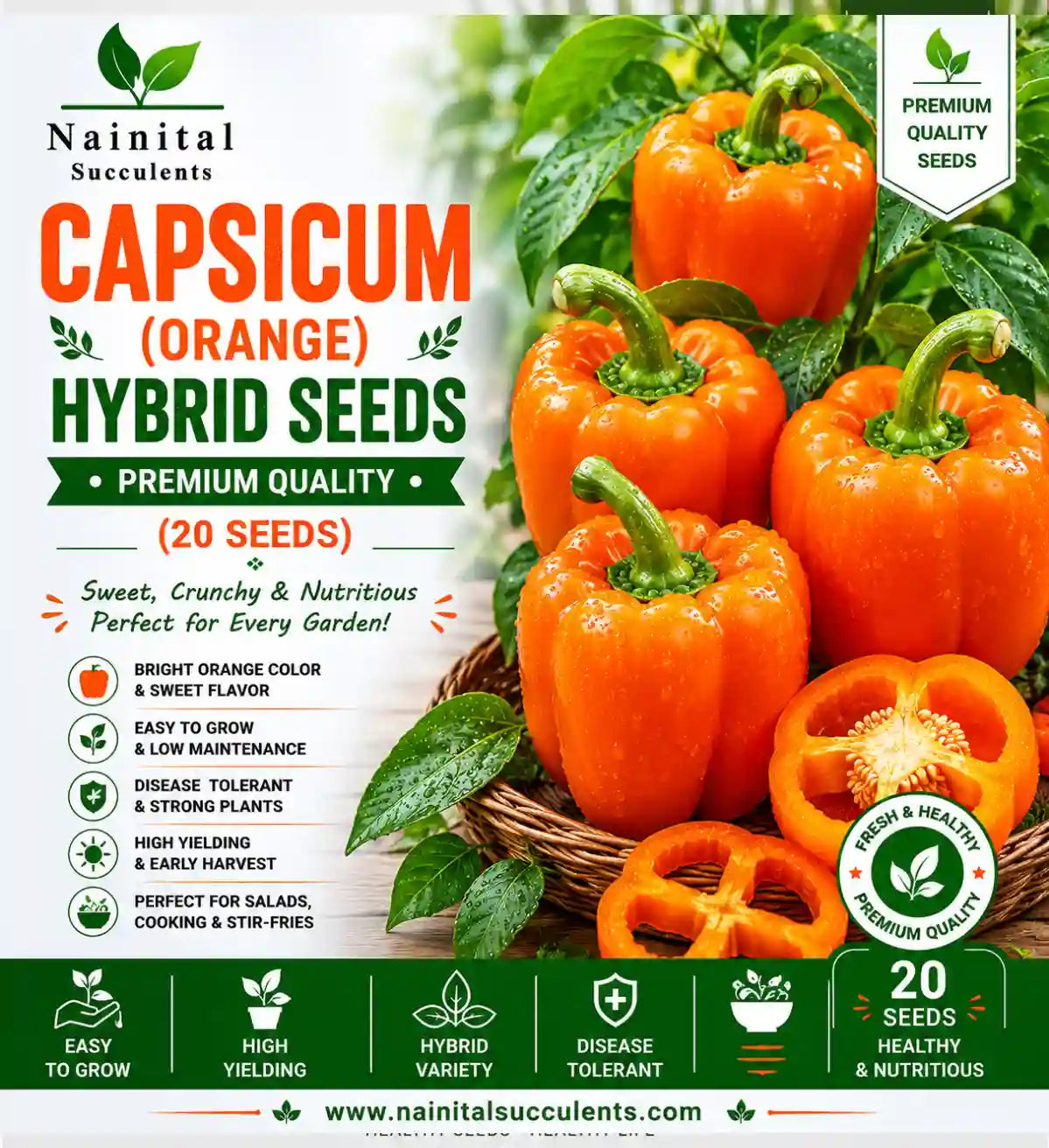 CAPSICUM (ORANGE) HYBRID SEEDS (20 seeds)
