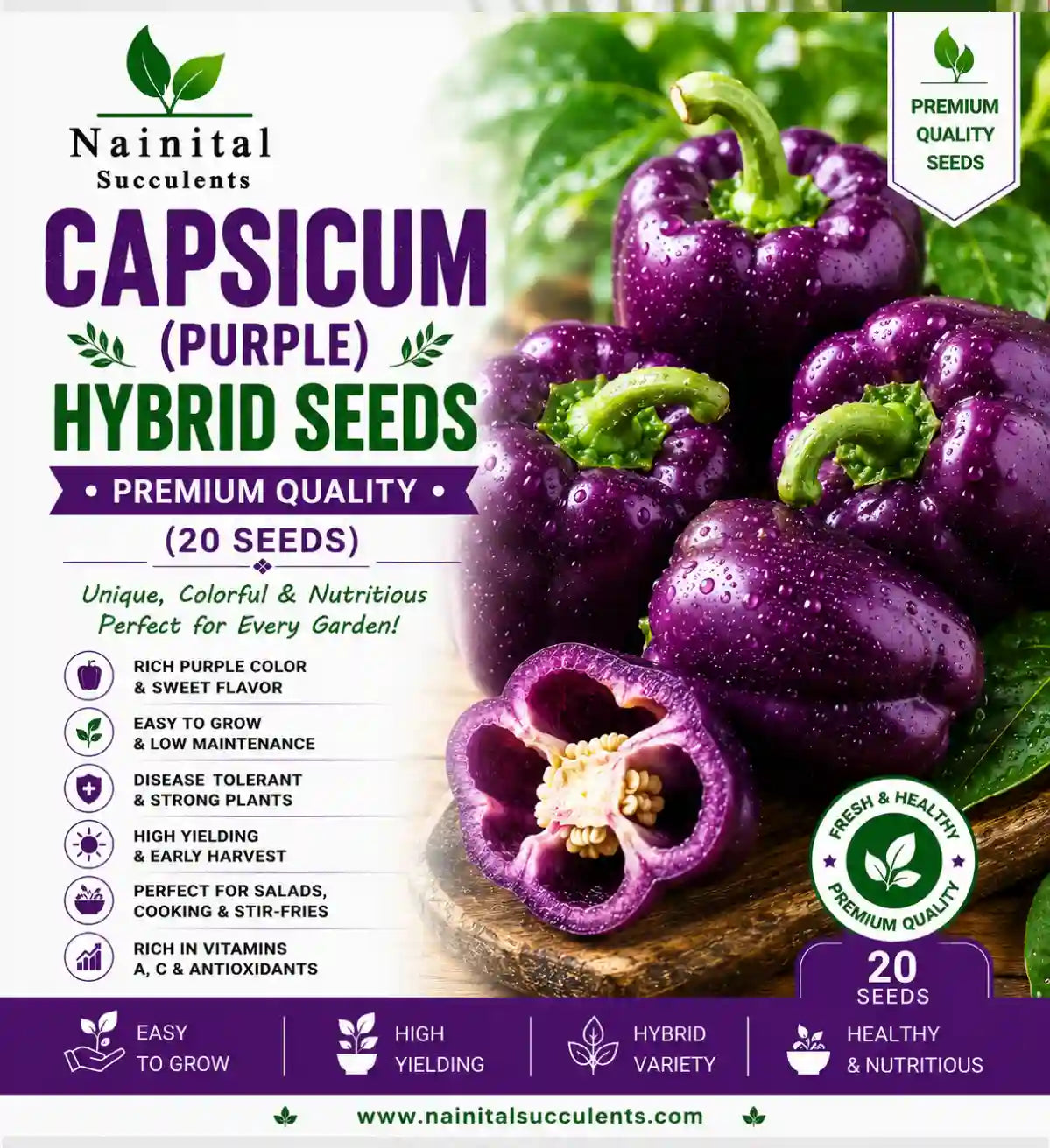 CAPSICUM (PURPLE) HYBRID SEEDS (20 seeds)