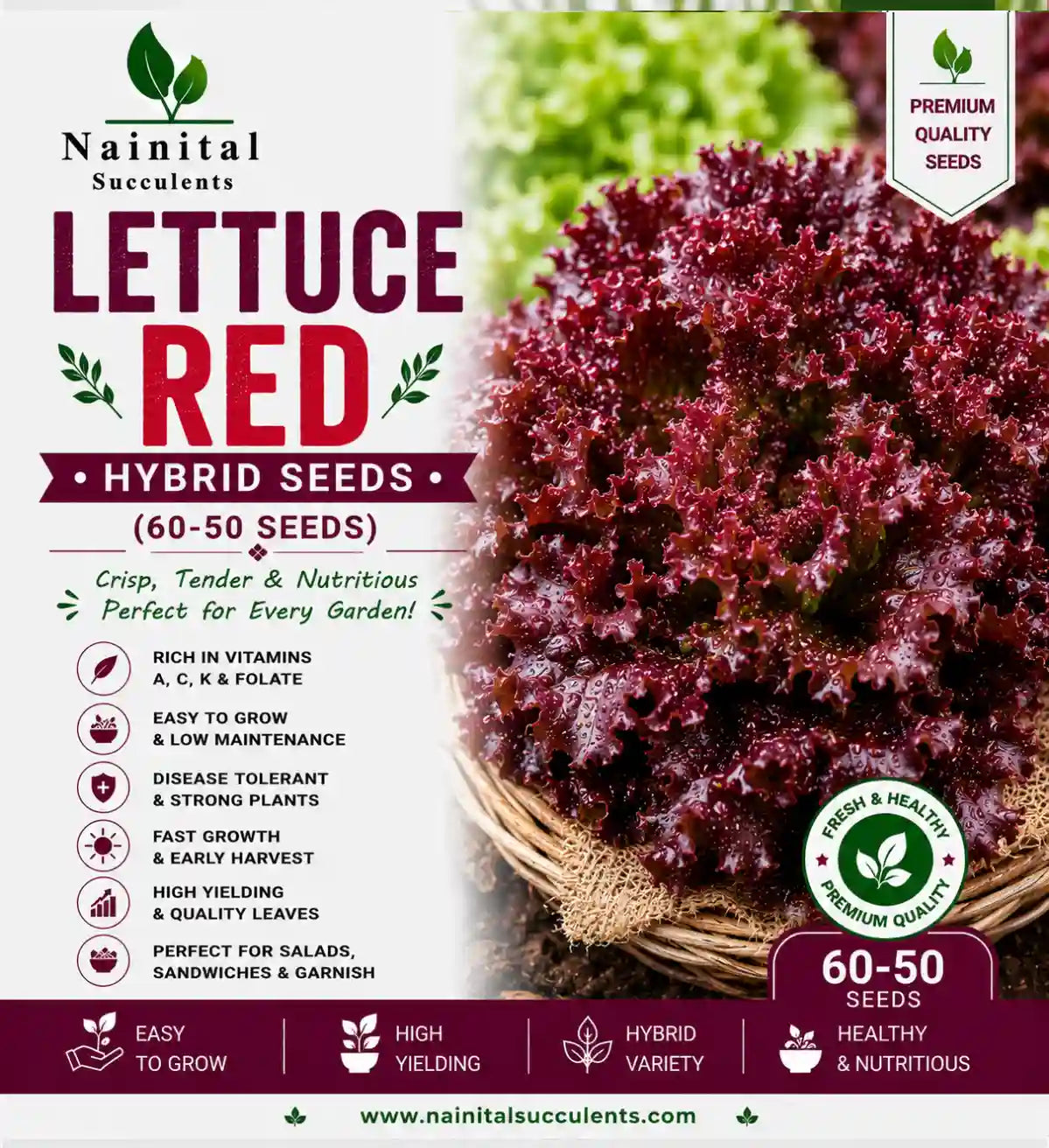 LETTUCE RED HYBRID SEEDS (60-50 seeds)