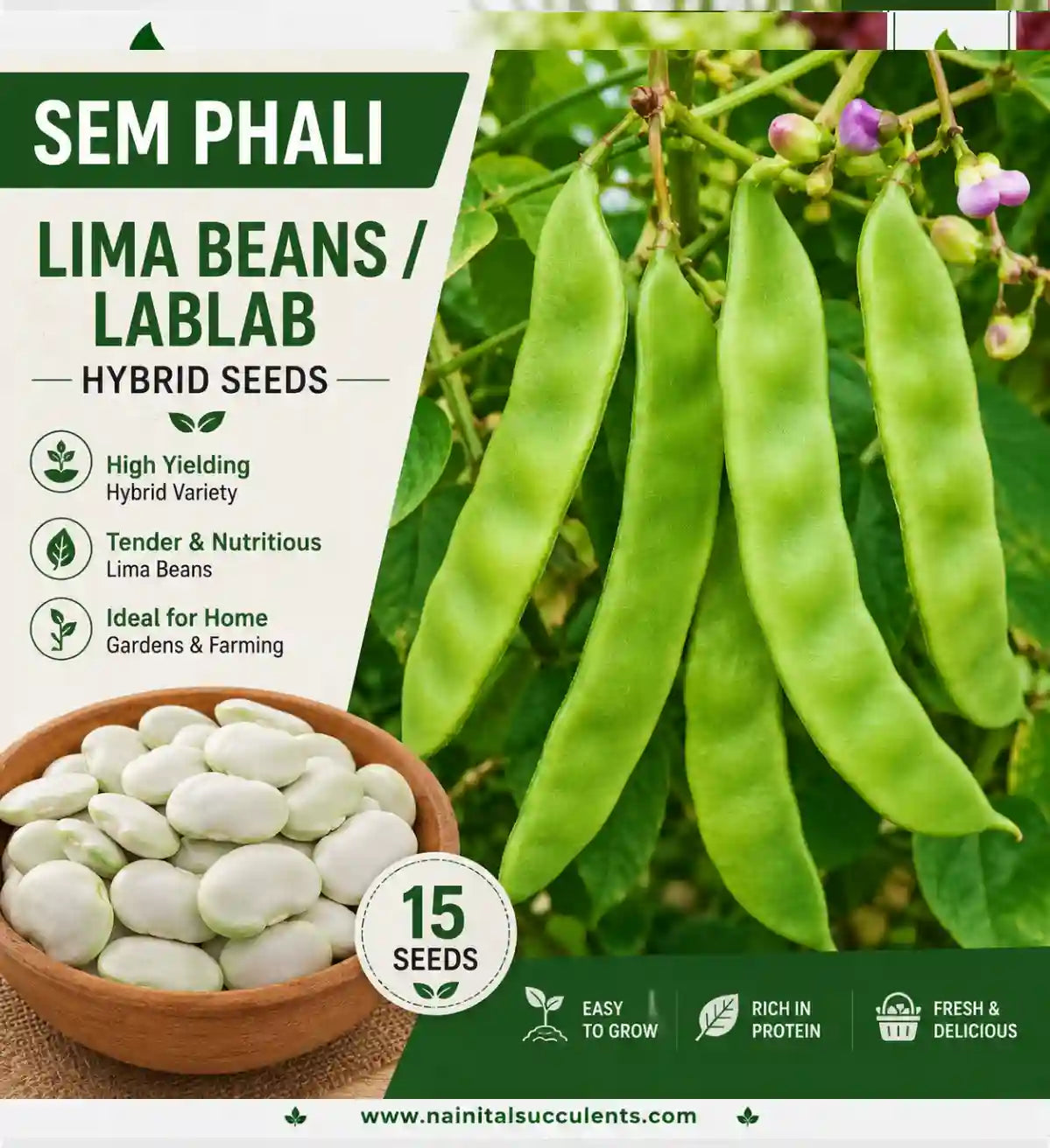 SEM PHALI / LIMA BEANS / LABLAB HYBRID SEEDS (15 seeds)