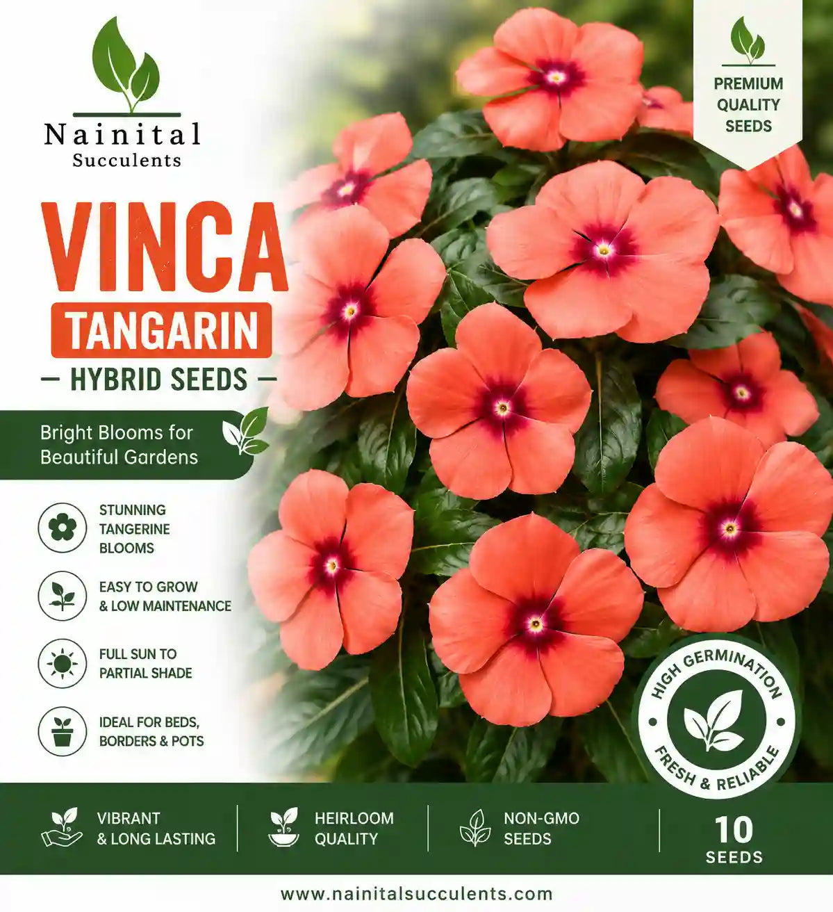 VINCA TANGERIN HYBRID SEEDS (10 seeds)