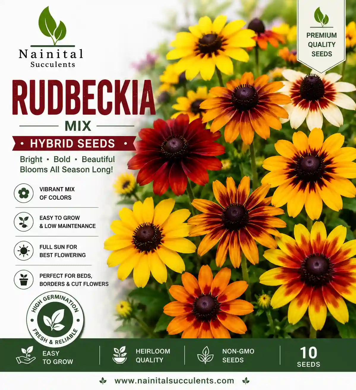 RUDBECKIA MIX HYBRID SEEDS (30 seeds)