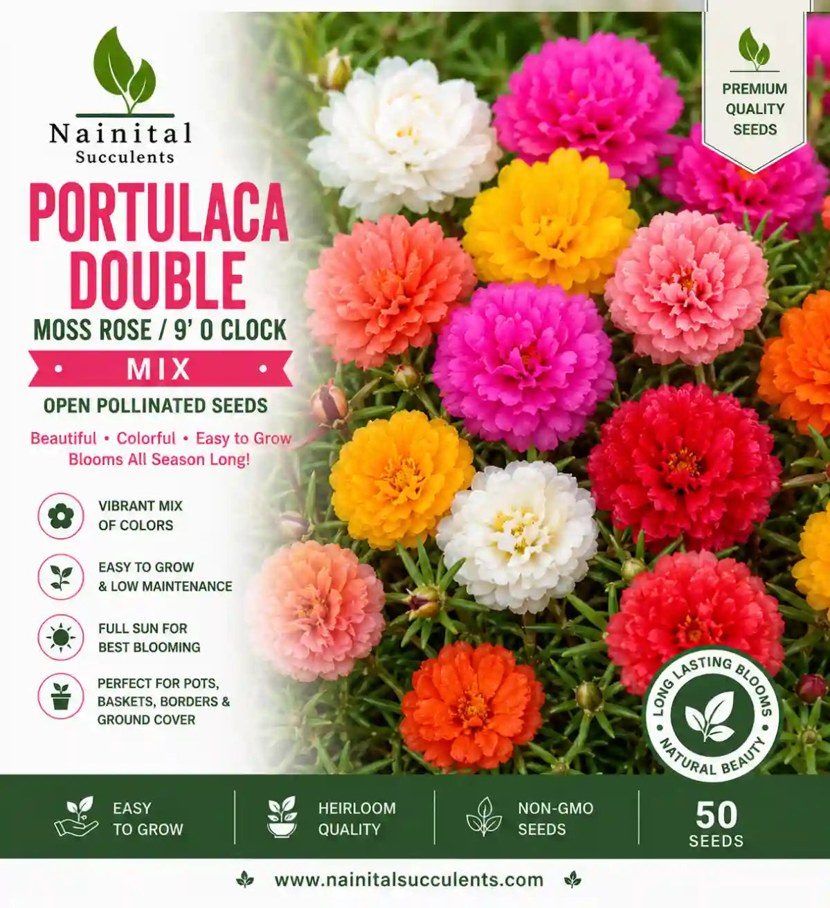 Portulaca Double / Moss Rose / 9' O Clock Mix Open Pollinated Seeds