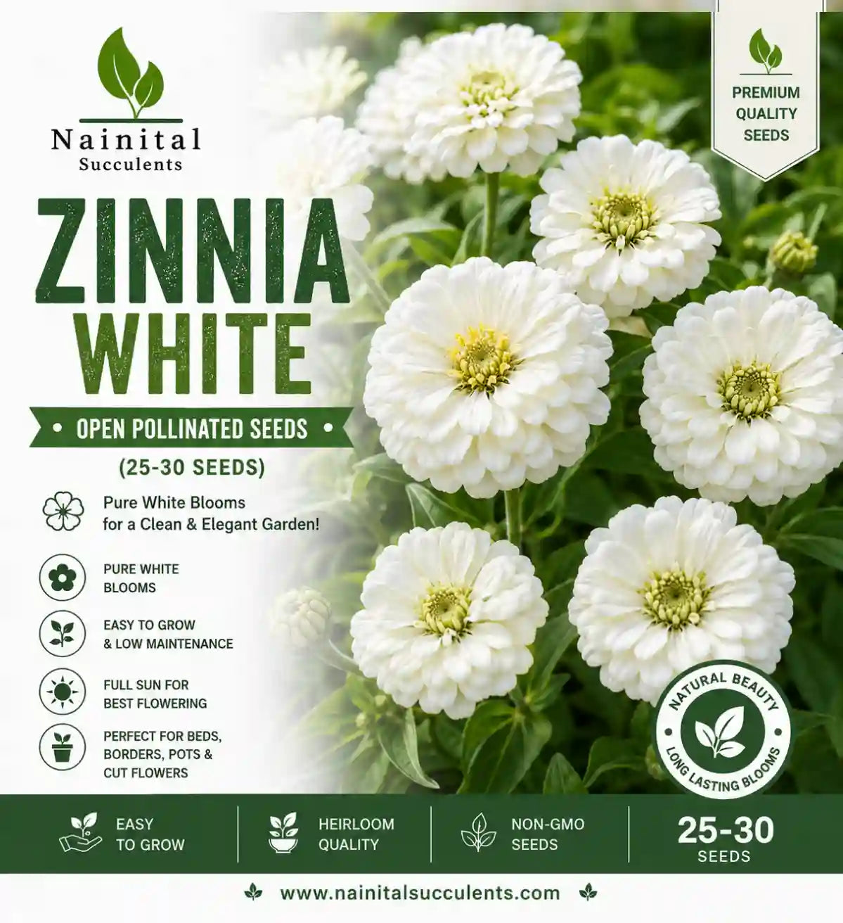 ZINNIA WHITE OPEN POLLINATED SEEDS (25-30 seeds)