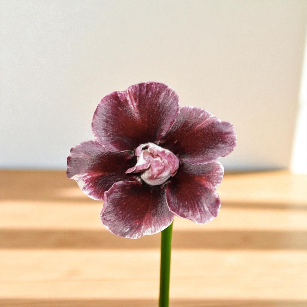 Adenium R404