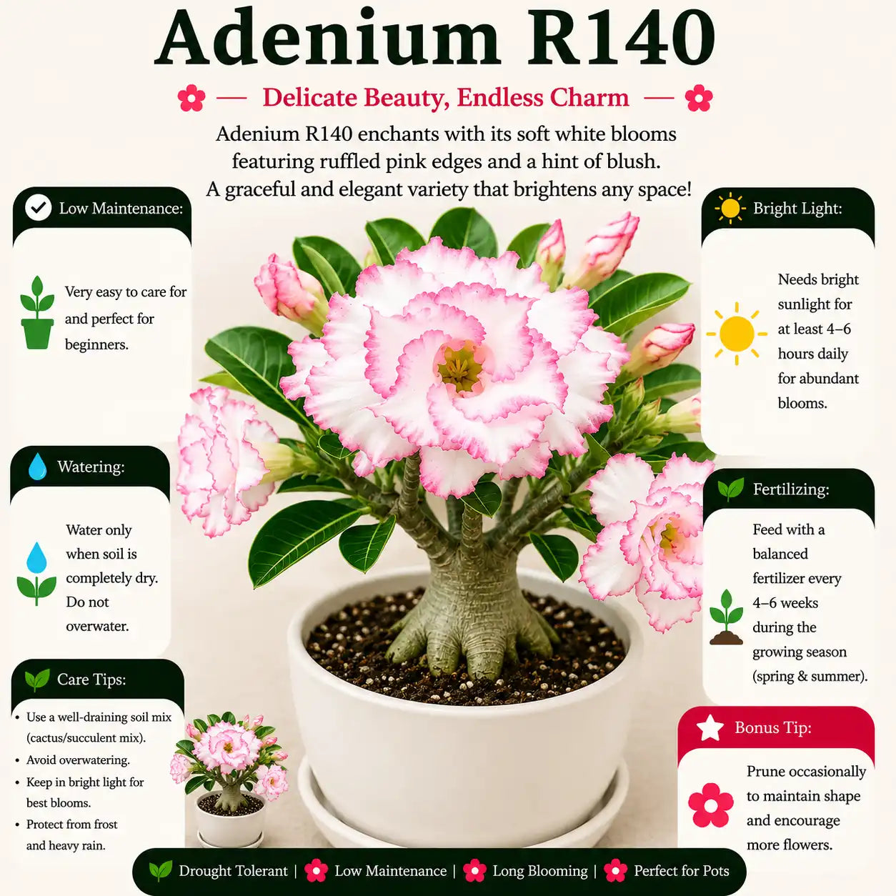 Adenium R140