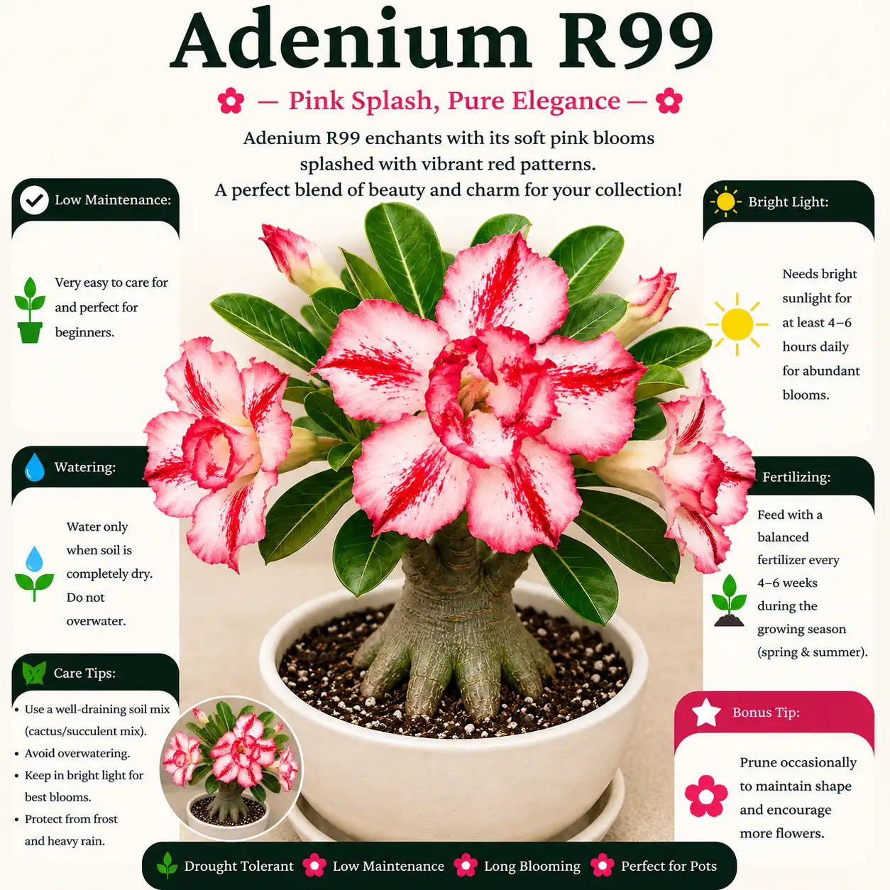 Adenium R99