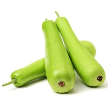 BOTTLE GOURD- LAUKI ( LONG) HYBRID SEEDS (15 seeds)