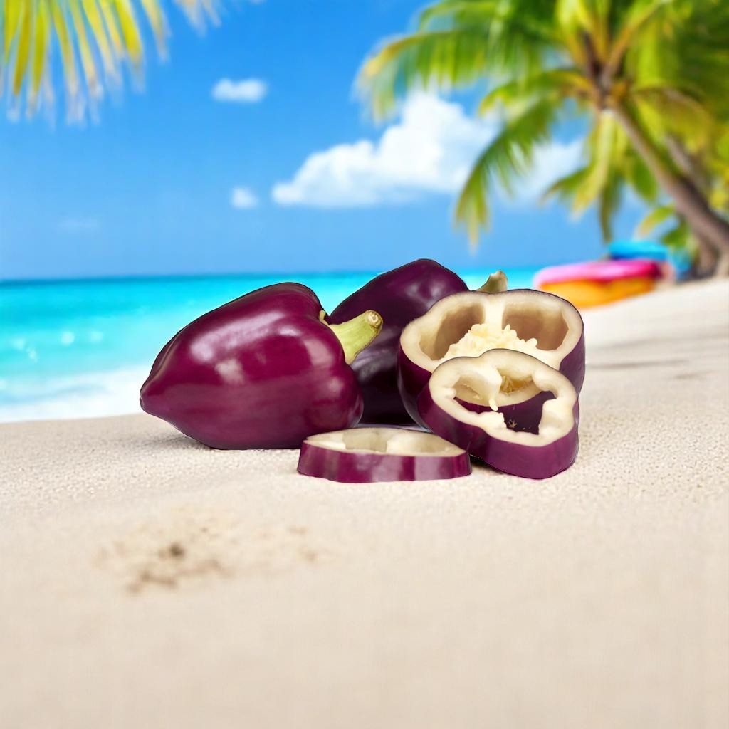 CAPSICUM (PURPLE) HYBRID SEEDS (20 seeds)