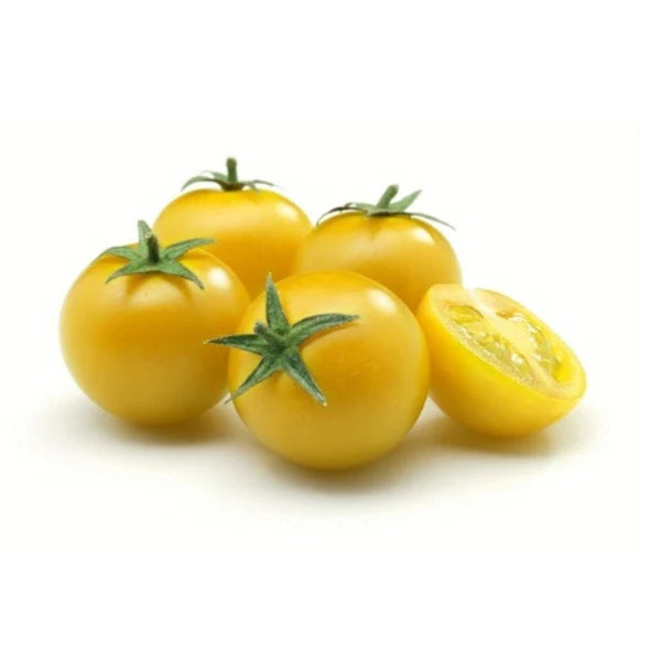 CHERRY TOMATO YELLOW HYBRID SEEDS (40 seeds)