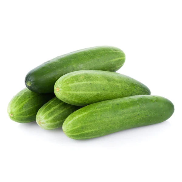 CUCUMBER DESI VEGETABLE SEEDS (40 seeds)