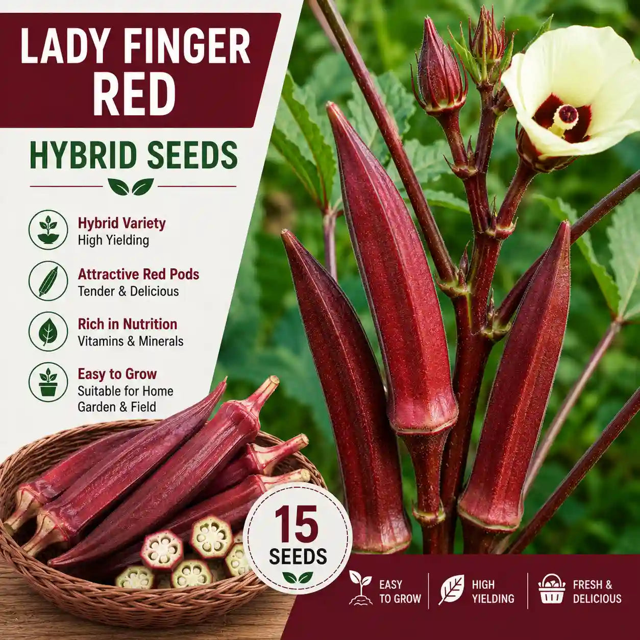 LADY FINGER RED HYBRID SEEDS (15 seeds)