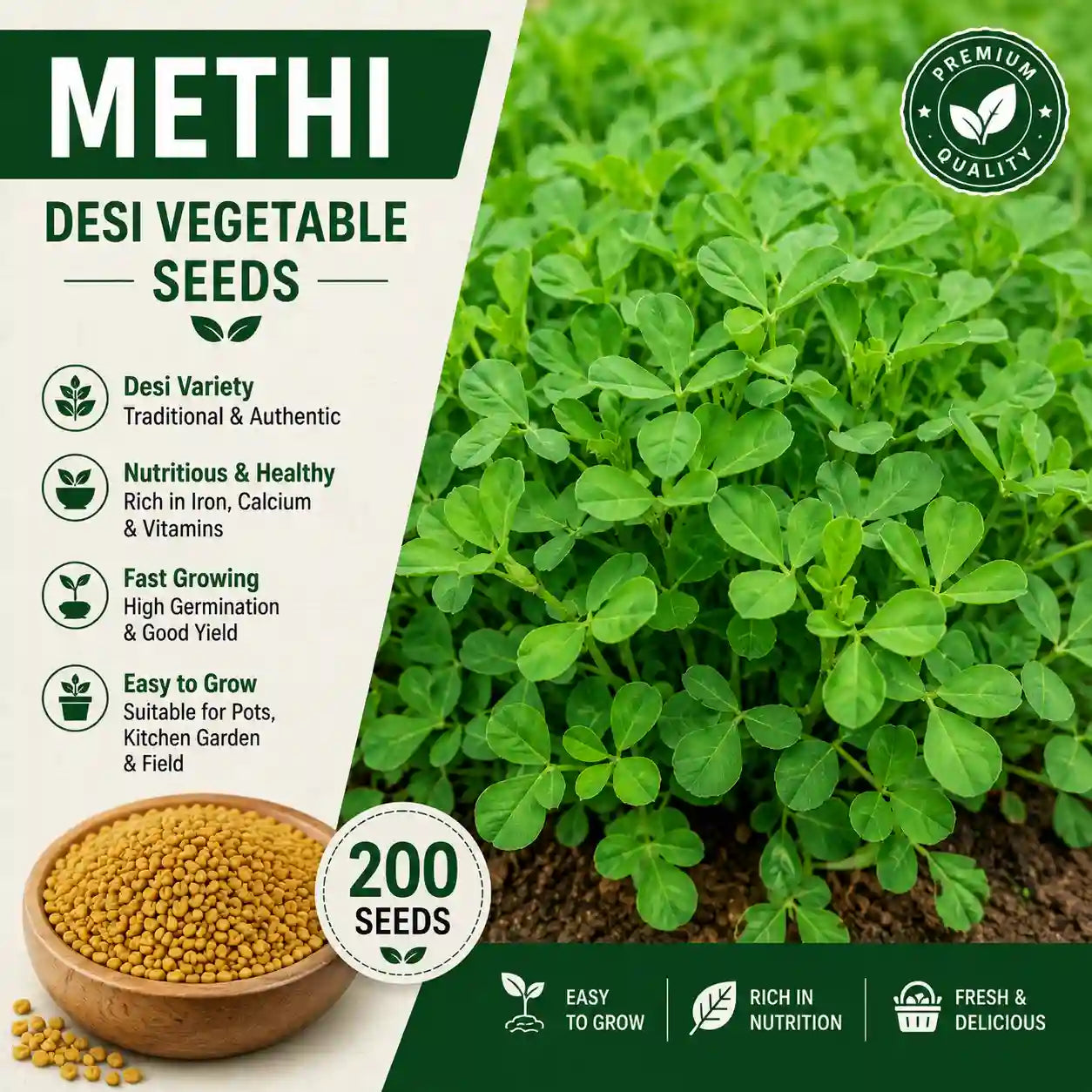 FENUGREEK LEAVES / METHI DESI VEGETABLE SEEDS (200 seeds)