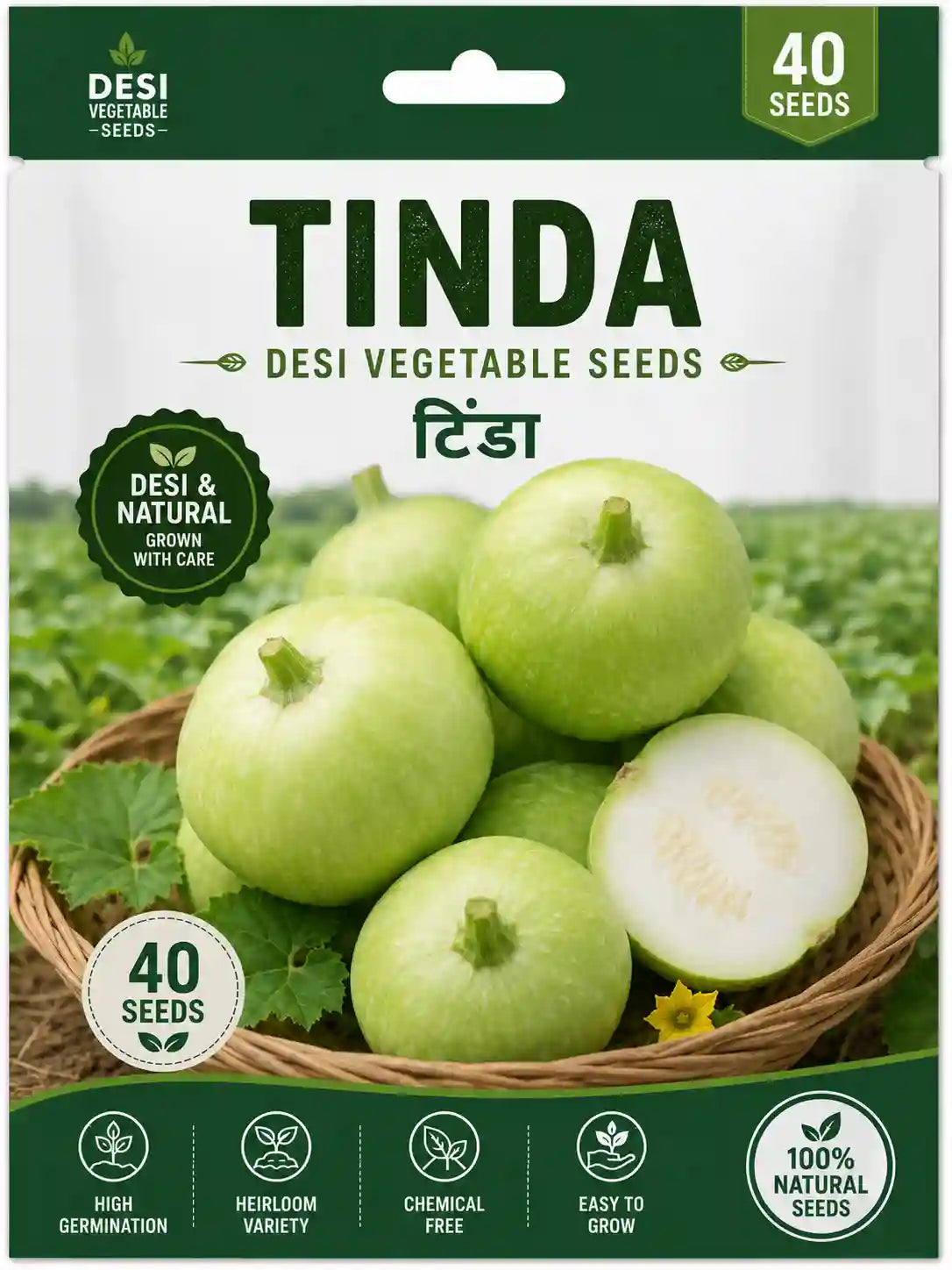 INDIAN SQUASH / TINDA DESI VEGETABLE SEEDS (40 seeds)