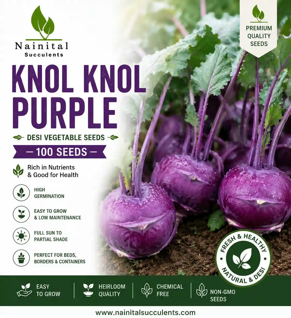 KNOL KNOL PURPLE DESI VEGETABLE SEEDS (100 seeds)