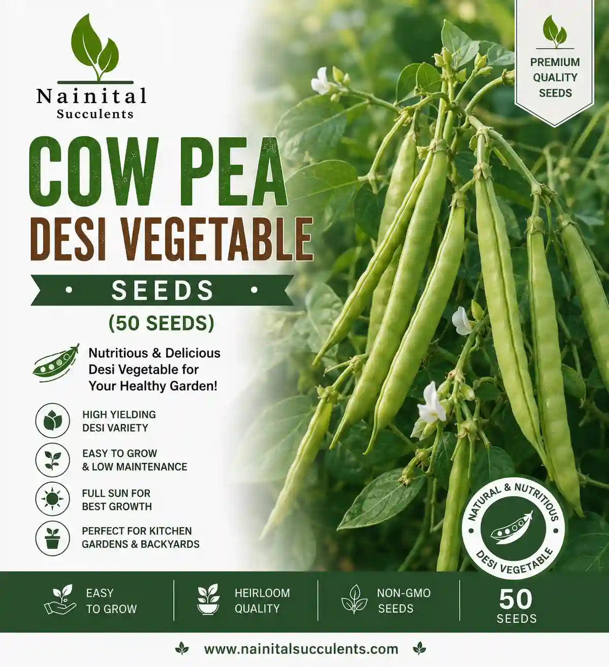 LONG BEANS / LOBIA / COW PEA DESI VEGETABLE SEEDS (50 seeds)