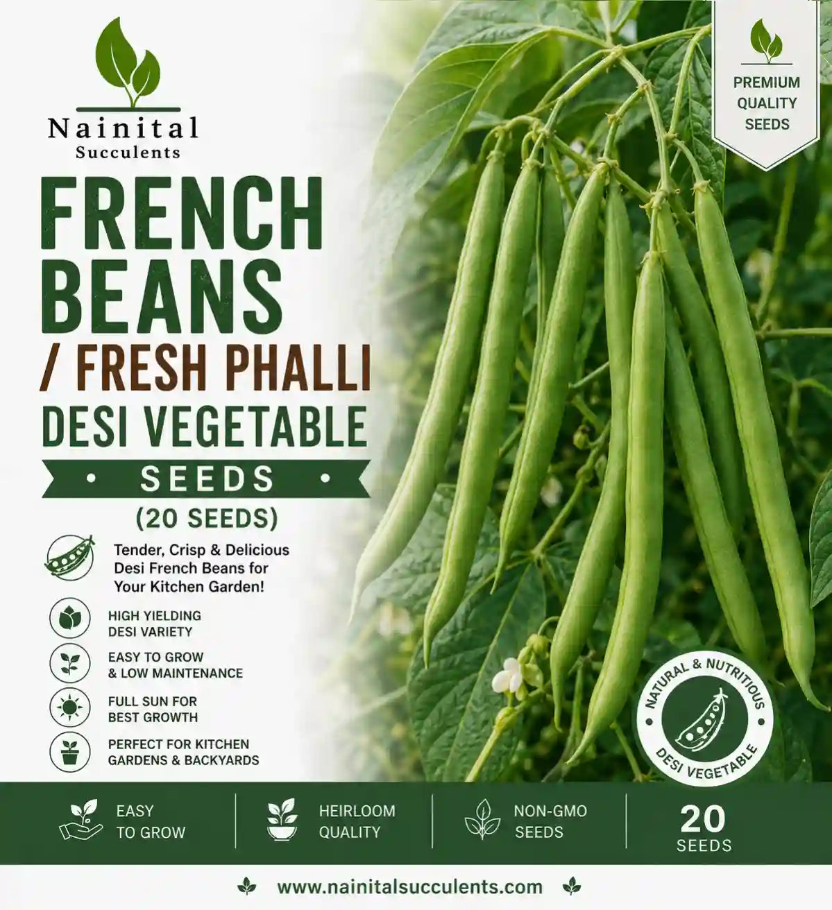FRENCH BEANS / FRESH PHALLI DESI VEGETABLE SEEDS (20 seeds)