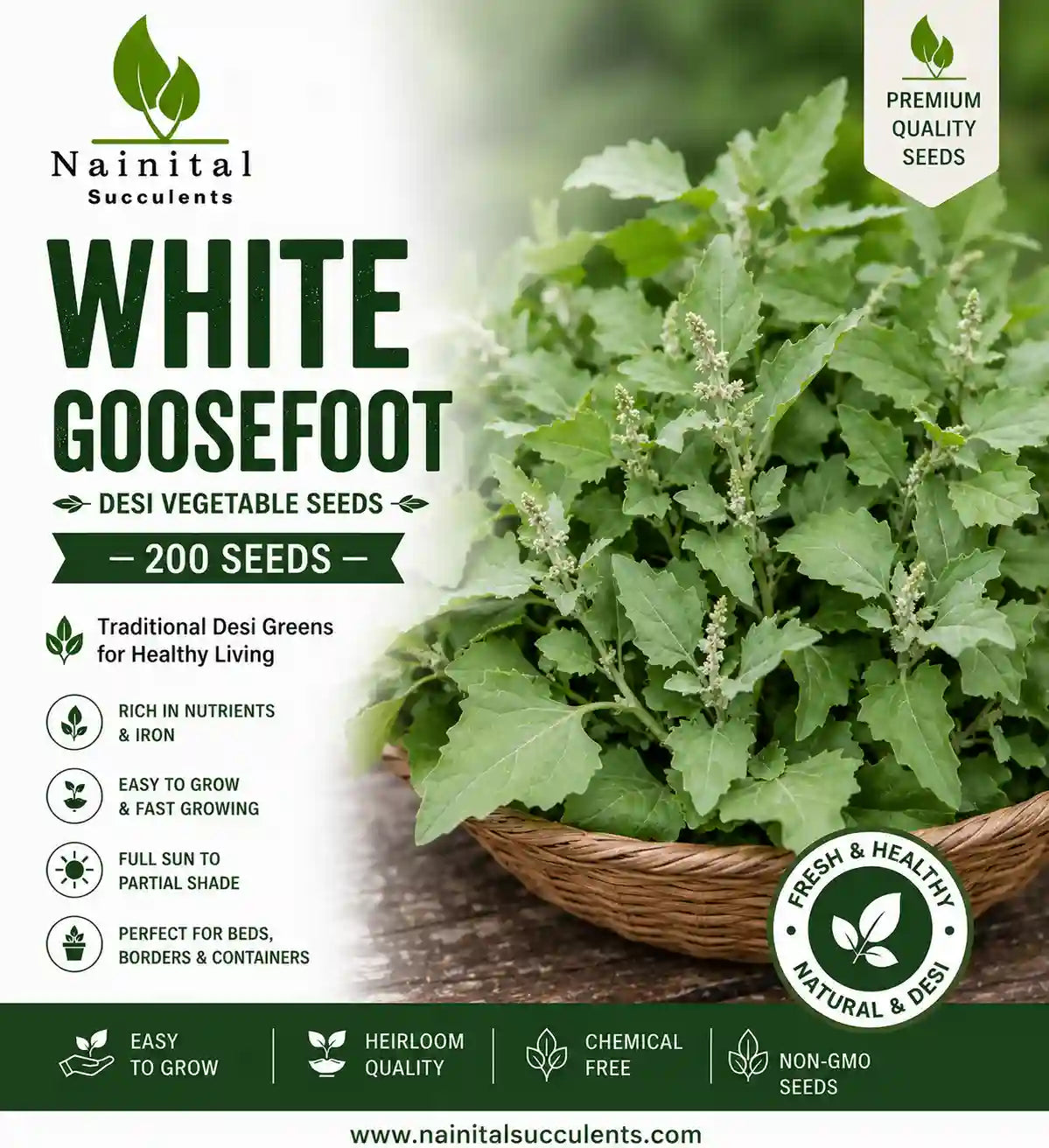 BATHUA / WHITE GOOSEFOOT DESI VEGETABLE SEEDS (200 seeds)