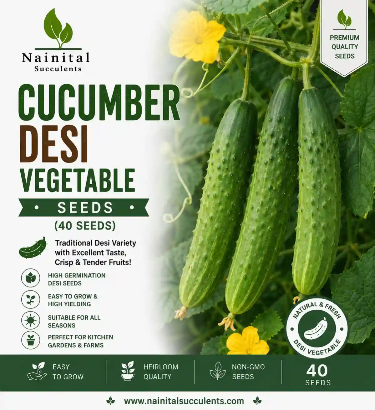CUCUMBER DESI VEGETABLE SEEDS (40 seeds)