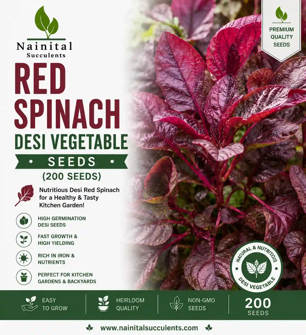 RED SPINACH DESI VEGETABLE SEEDS (200 seeds)