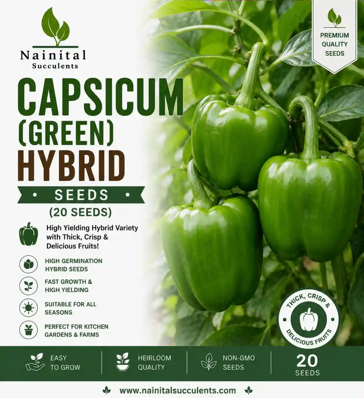 CAPSICUM (GREEN) HYBRID SEEDS (20 seeds)