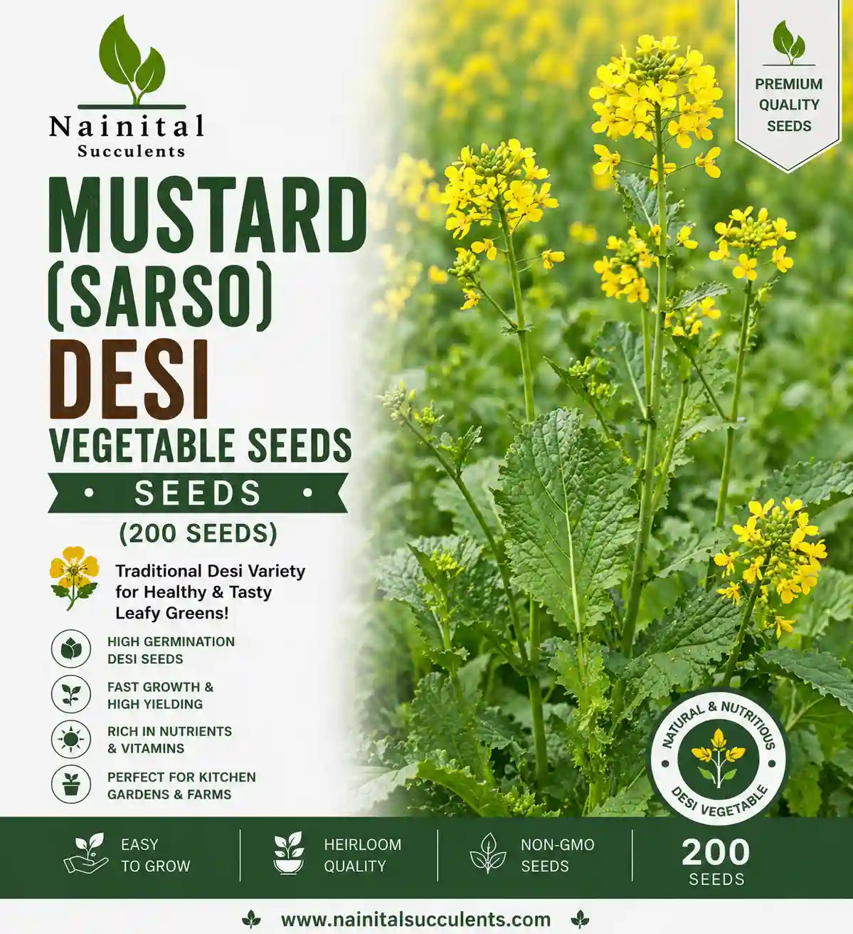 MUSTARD ( SARSO) DESI VEGETABLE SEEDS (200 seeds)