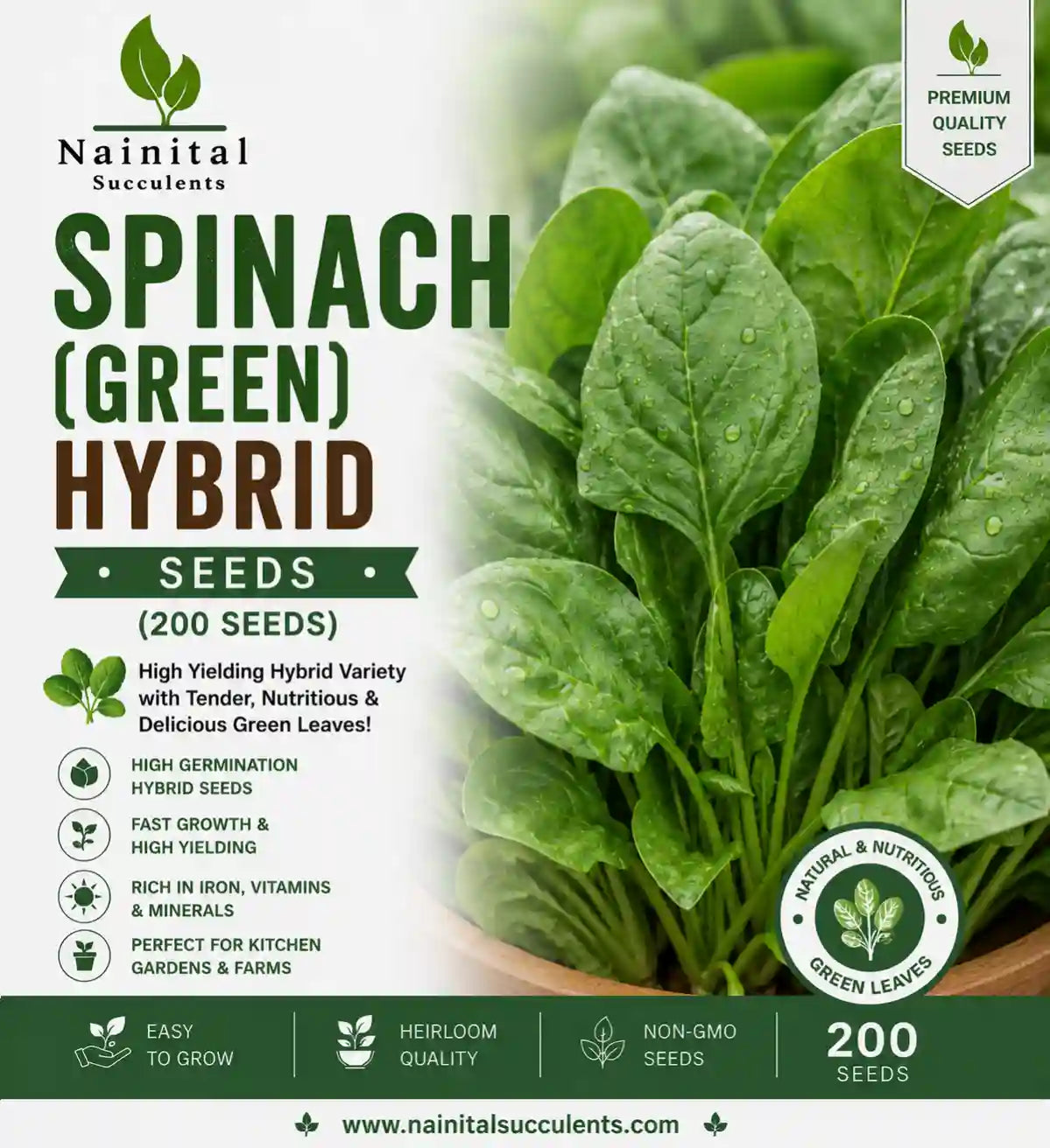 SPINACH (GREEN) HYBRID SEEDS (200 seeds)
