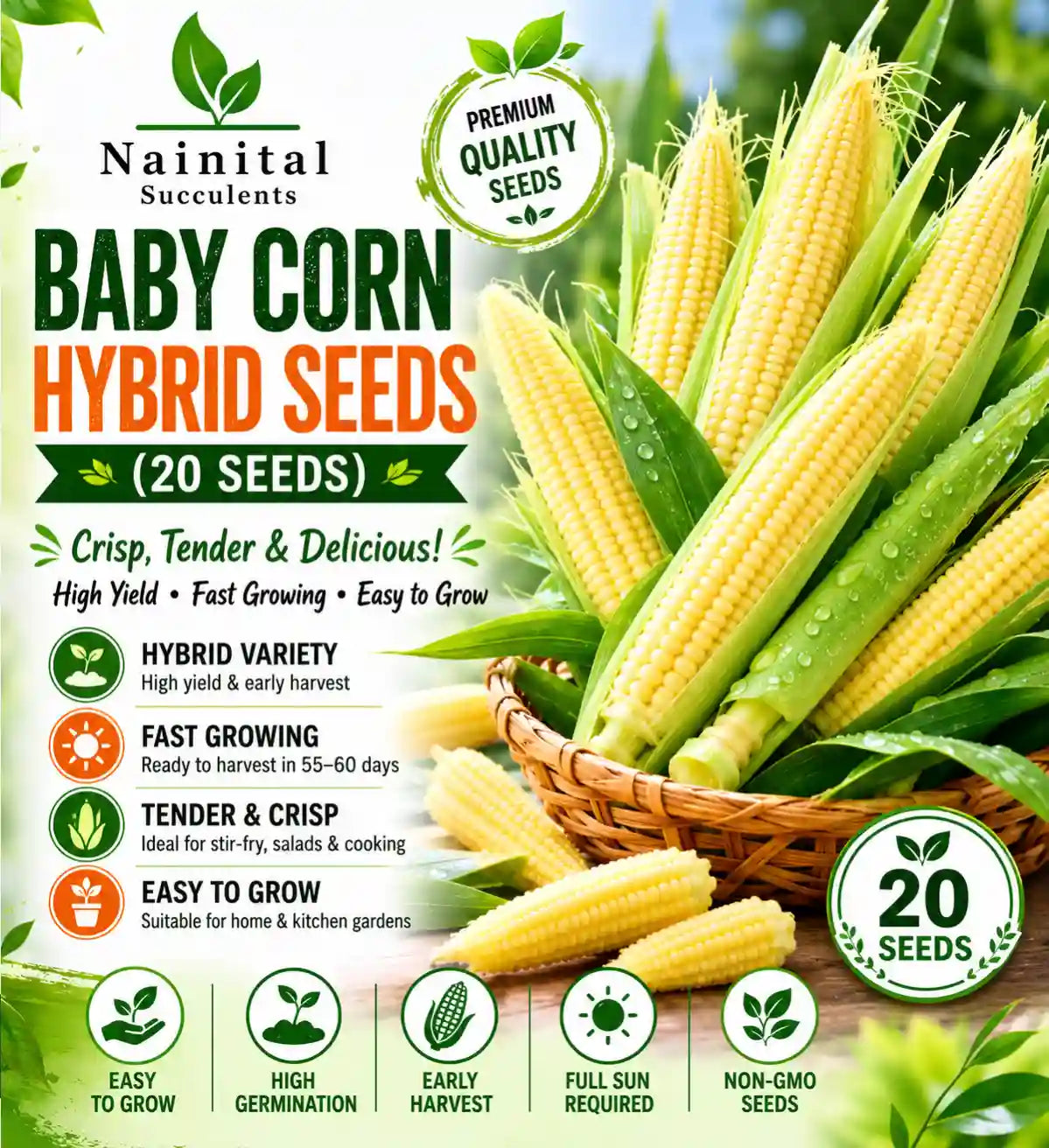 BABY CORN HYBRID SEEDS (20 seeds)