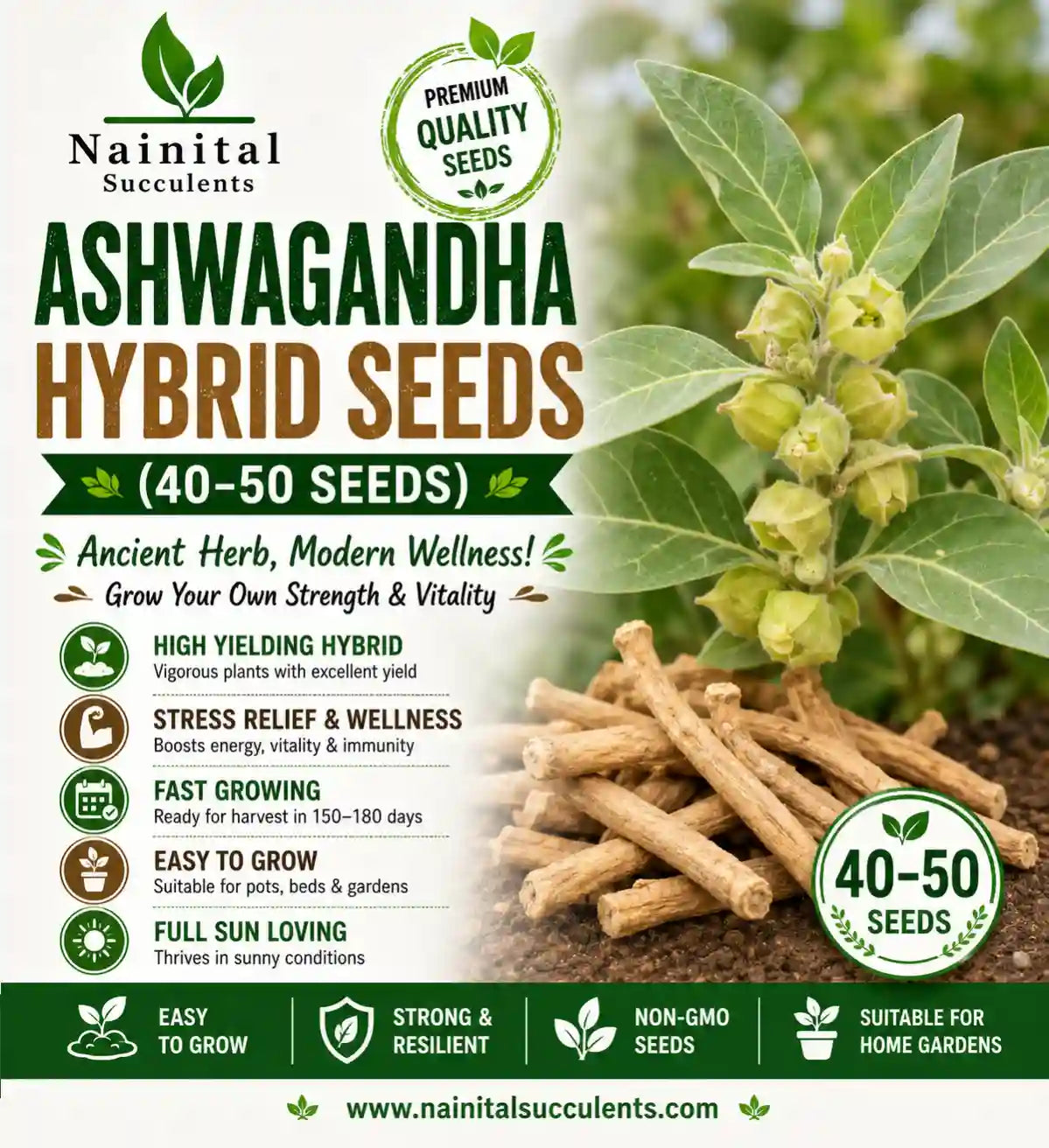 ASHWAGANDHA HYBRID SEEDS (40-50 seeds)