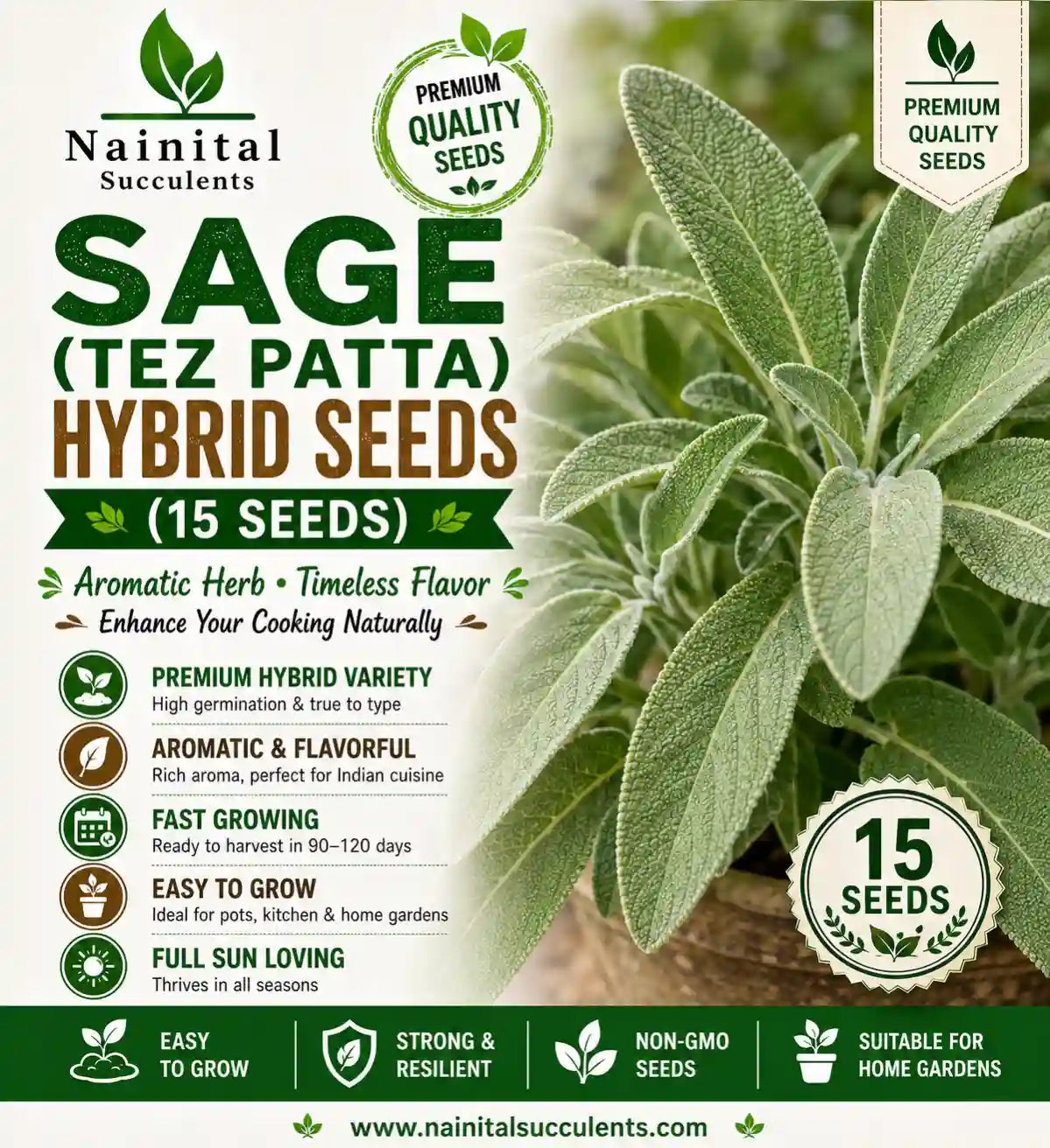 SAGE ( TEZ PATTA ) HYBRID SEEDS (15 seeds)