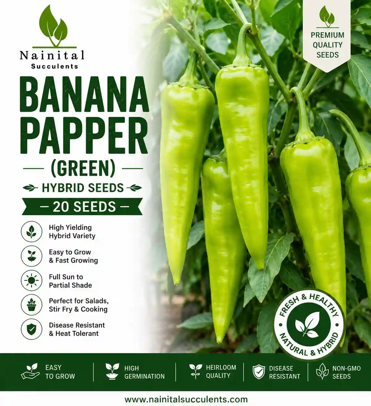 BANANA PAPPER (GREEN) HYBRID SEEDS (20 seeds)