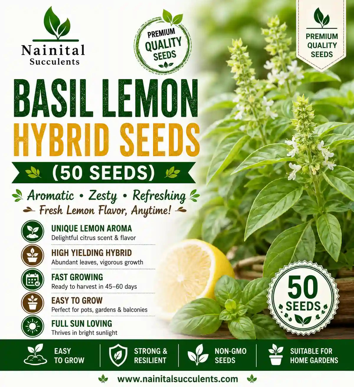 BASIL LEMON HYBRID SEEDS (50 seeds)