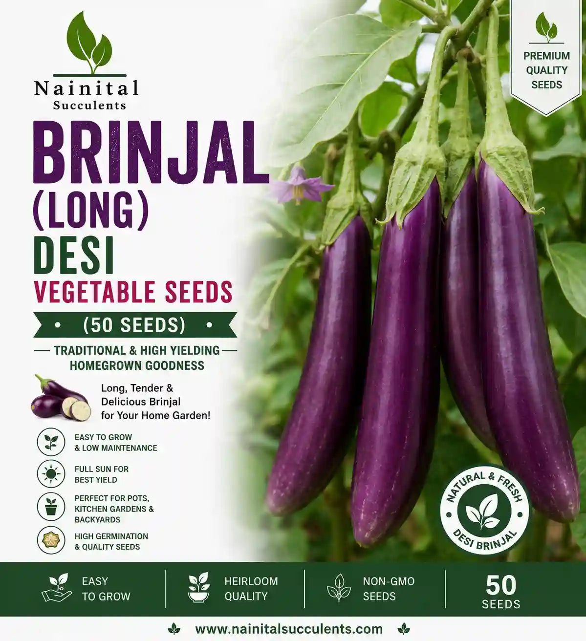 BRINJAL (LONG) DESI VEGETABLE SEEDS (50 seeds)