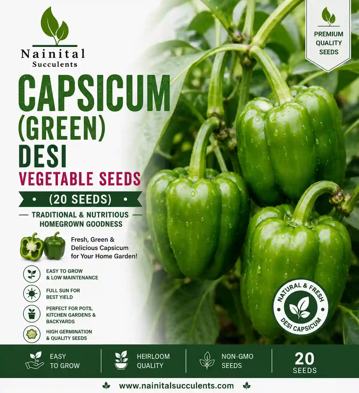 CAPSICUM (GREEN) DESI VEGETABLE SEEDS (20 seeds)
