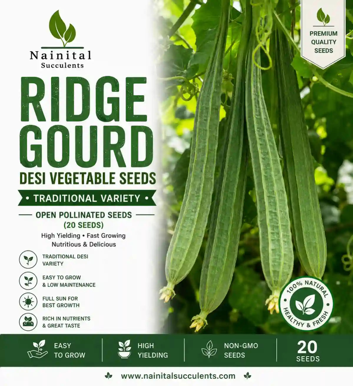RIDGE GOURD DESI VEGETABLE SEEDS (20 seeds)