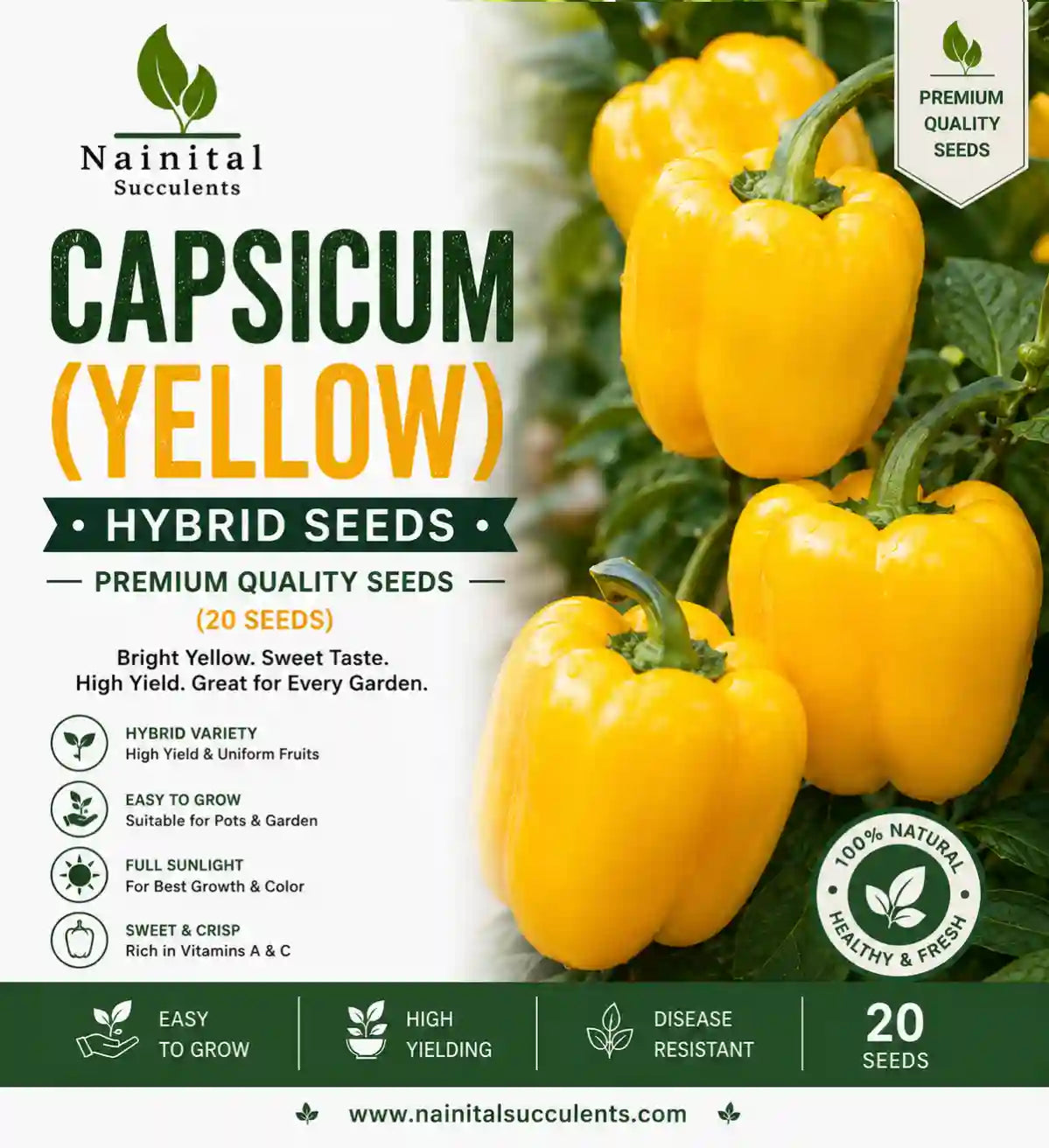 CAPSICUM (YELLOW) HYBRID SEEDS (20 seeds)