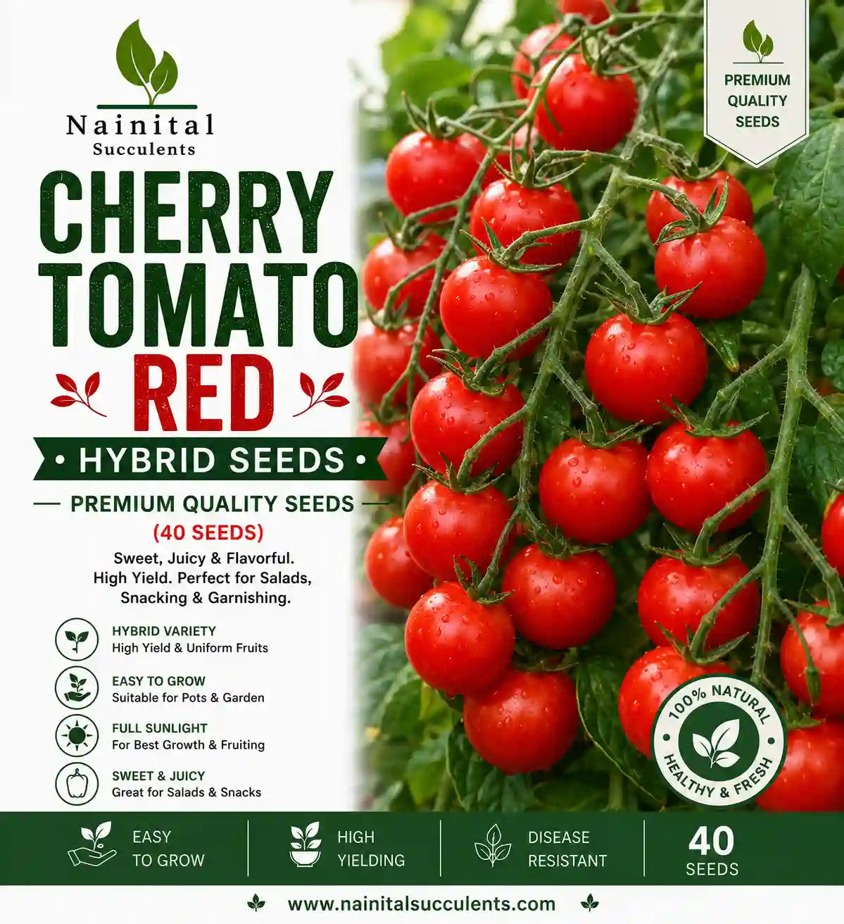 CHERRY TOMATO RED HYBRID SEEDS (40 seeds)