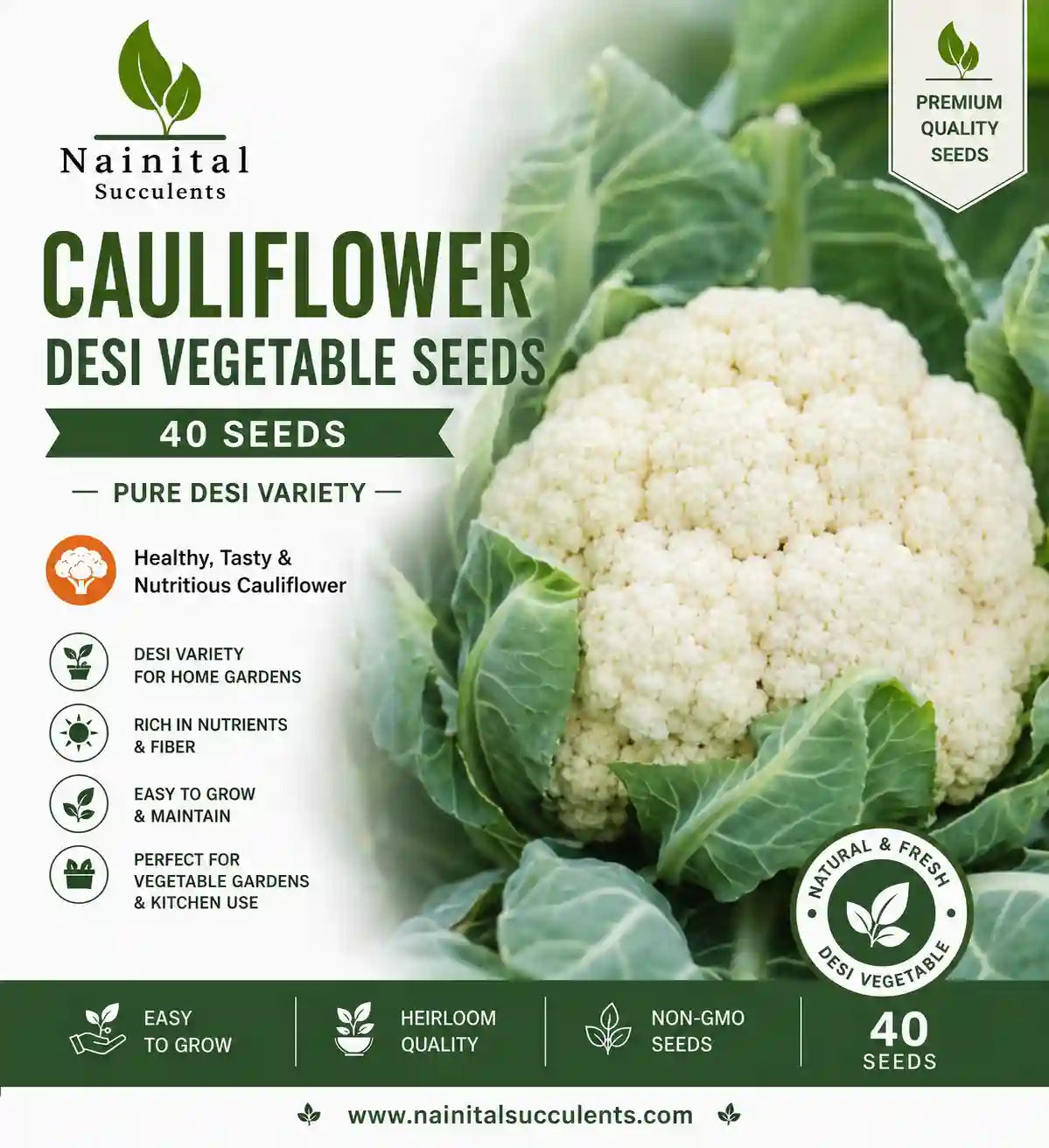 CAULIFLOWER DESI VEGETABLE SEEDS (40 seeds)