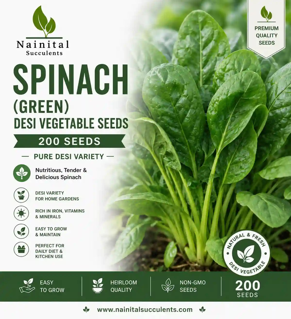 SPINACH (GREEN) DESI VEGETABLE SEEDS (200 seeds)