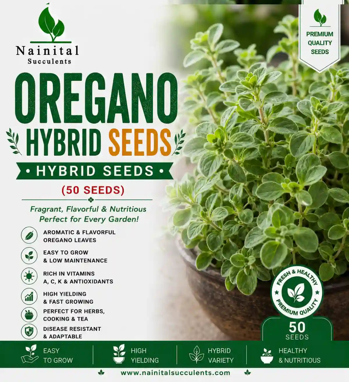 OREGANO HYBRID SEEDS (50 seeds)